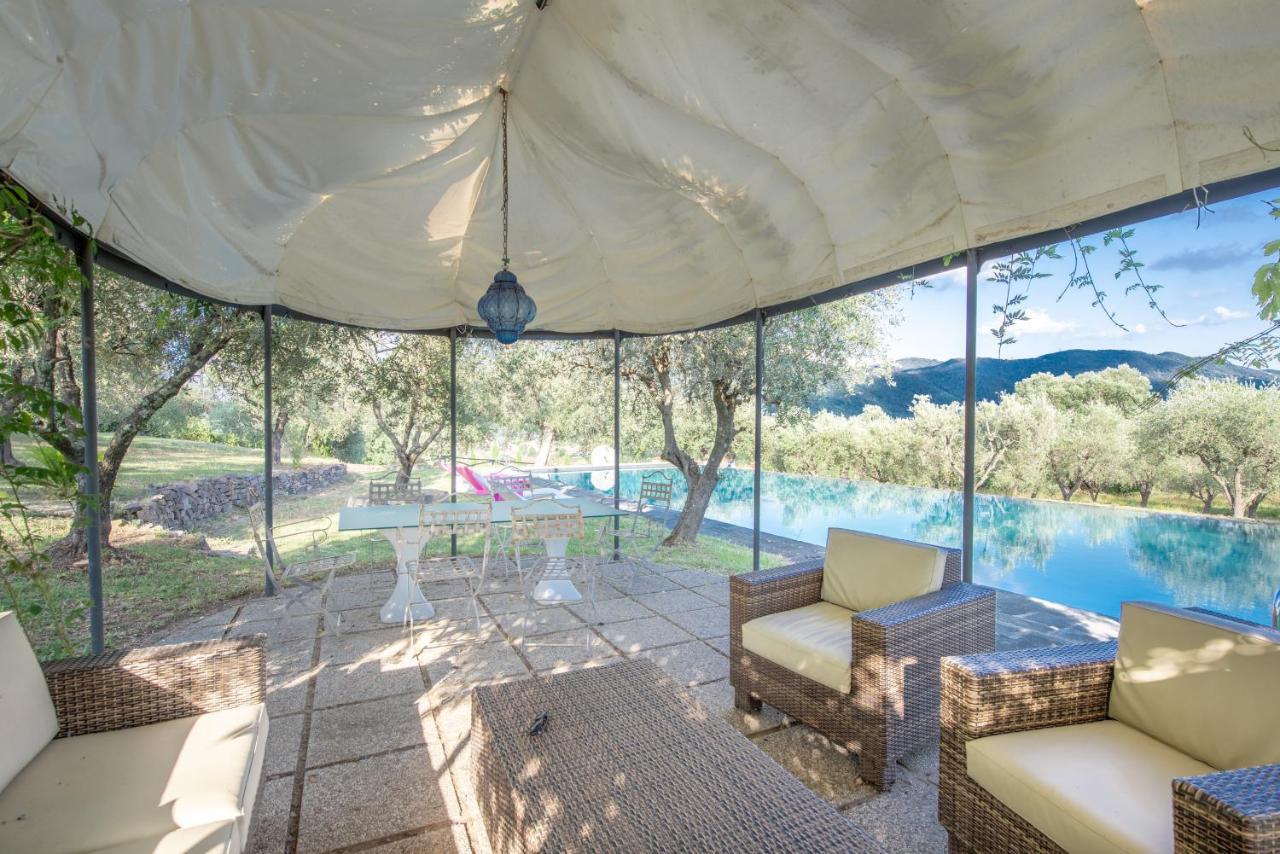 Il Castellaccio Bed and Breakfast Filettole Εξωτερικό φωτογραφία